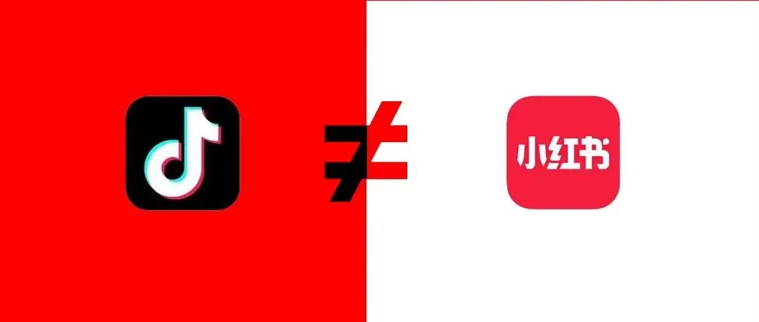 RED vs TikTok Comparison